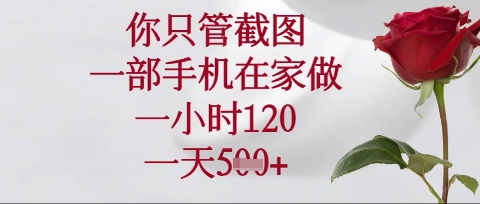 你只管截图，一部手机在家操作，一小时120.一天5张【揭秘】-轻创终点站